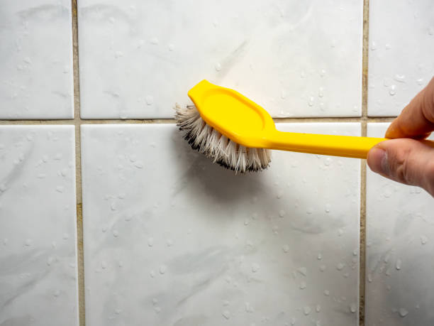 Best Mold Removal Company Near Me  in Drexel Hill, PA